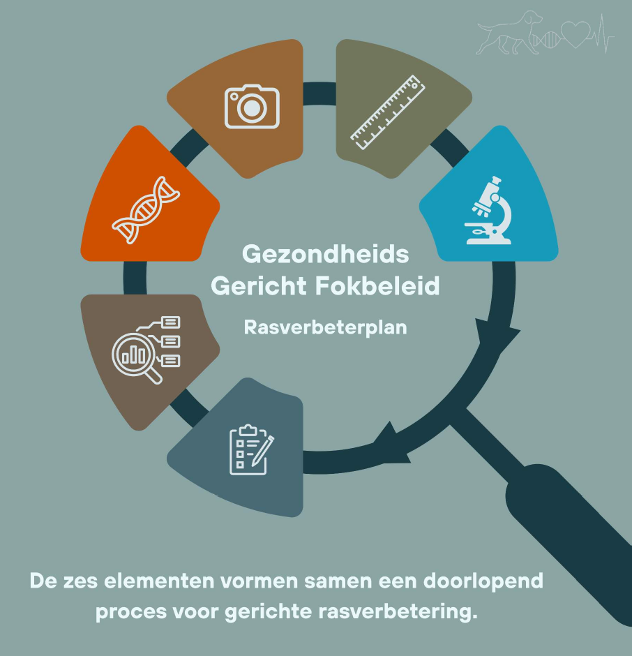 ggf visual vergrootglas