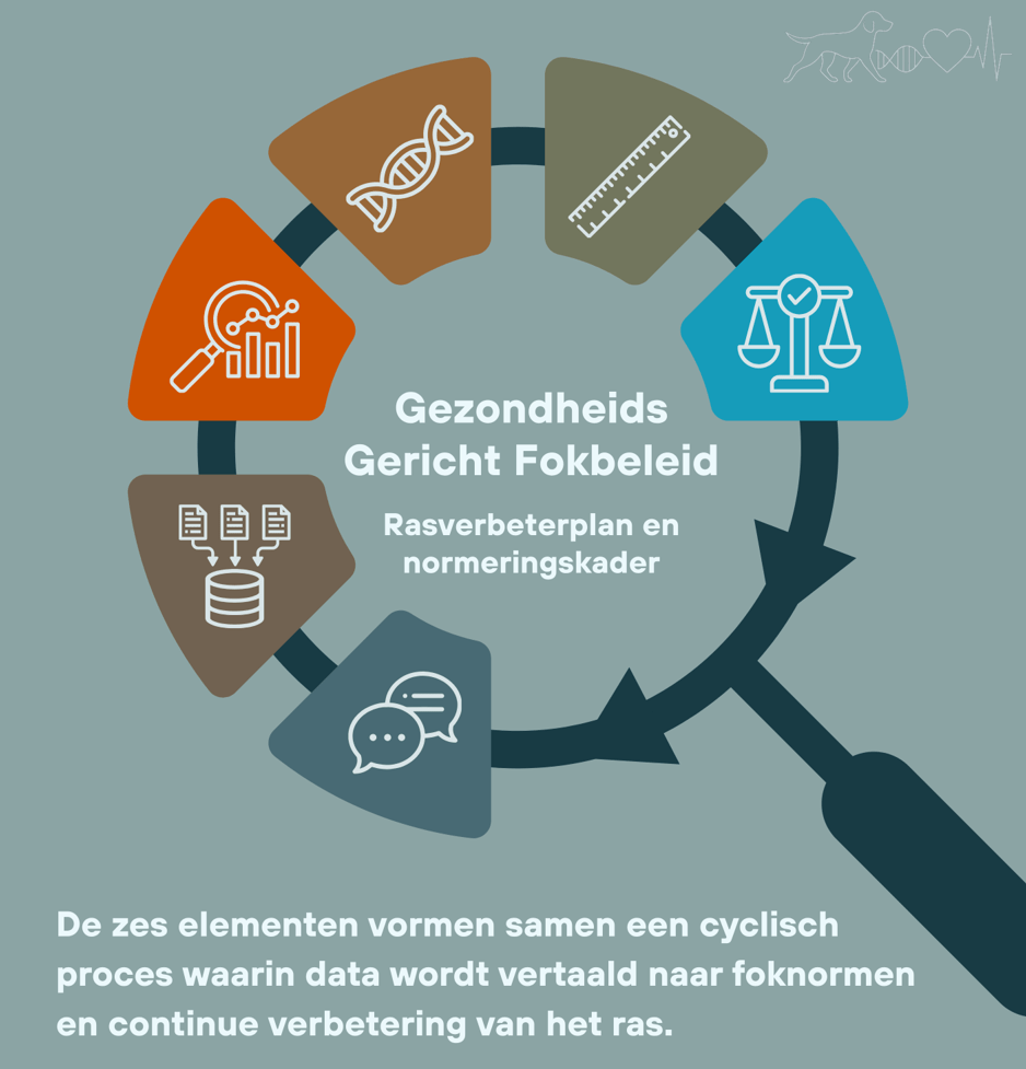 ggf visual vergrootglas (2)