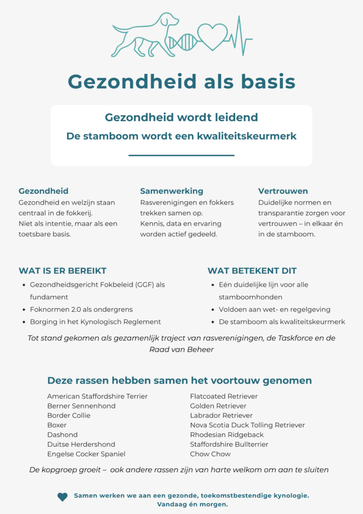 gezondheid als basis (1)