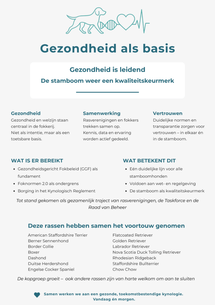 gezondheid als basis