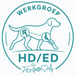 logo werkgroep hd ed