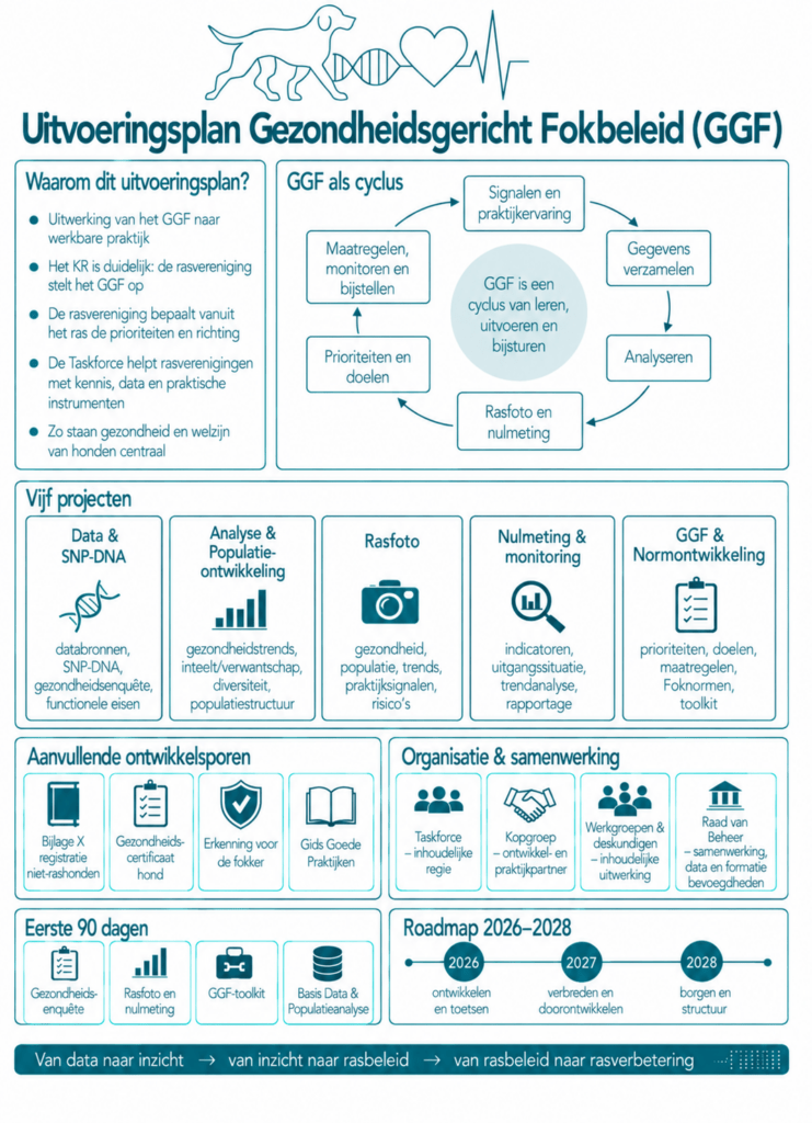 infographic uitvoeringsplan ggf