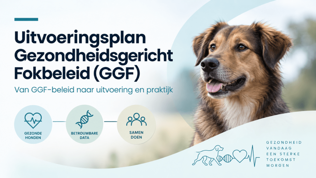 uitvoeringsplan visual (website)