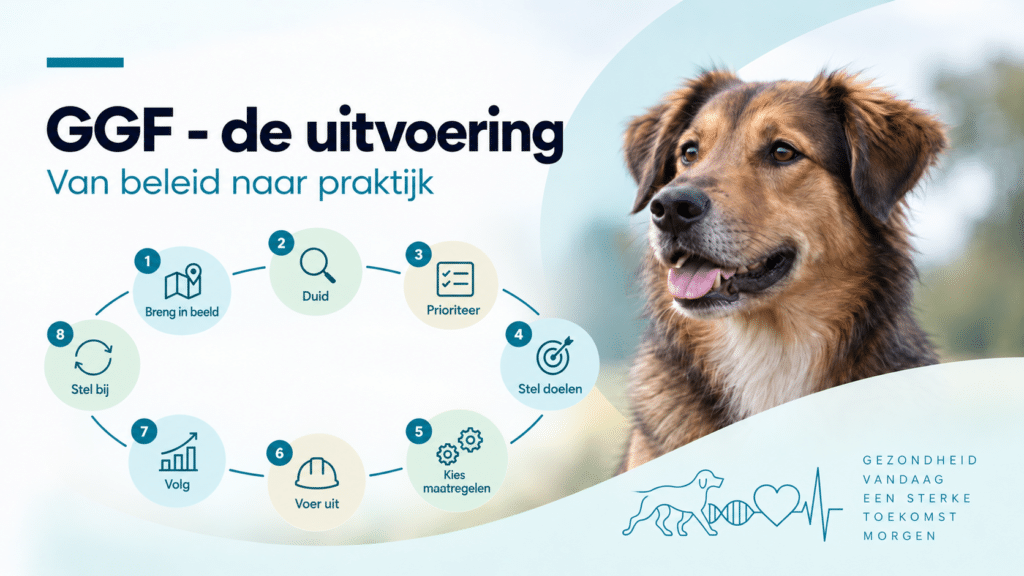 GGF - de uitvoering: van beleid naar praktijk van beleid naar praktijk met hond
