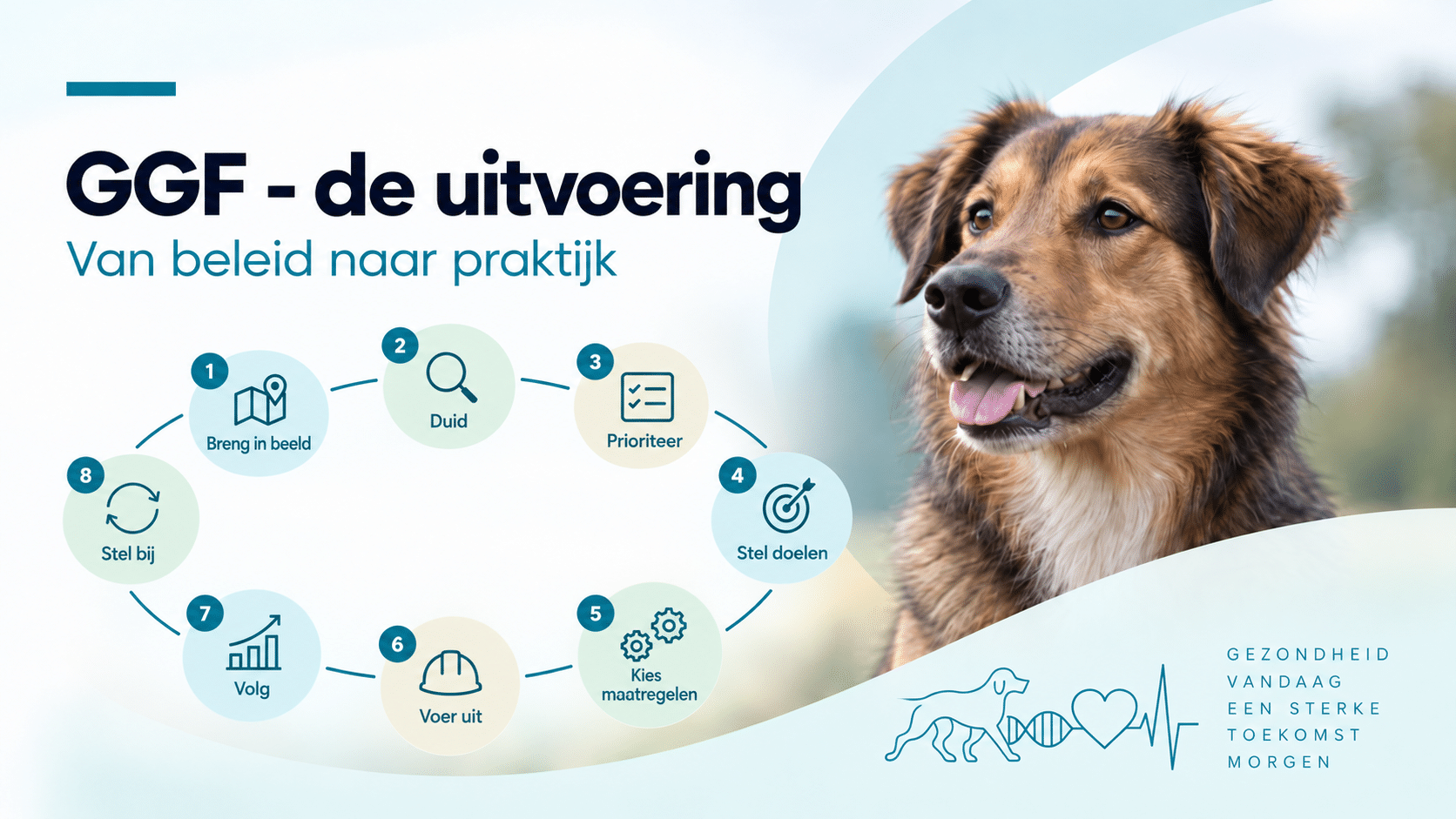 van beleid naar praktijk met hond